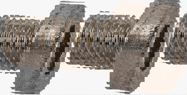 Hex Socket Cap Screw: #6-32 UNC, 7/64